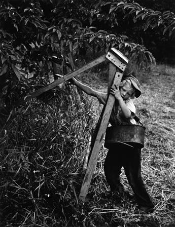 W. EUGENE SMITH (1918-1978) Rail Worker Joseph Hunter * Johnnie Fay Picking Cherries.